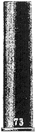 wpeA.gif (11036 bytes)